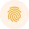 Palm Vein Recognition