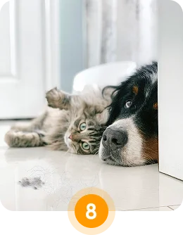 Tangless Mode