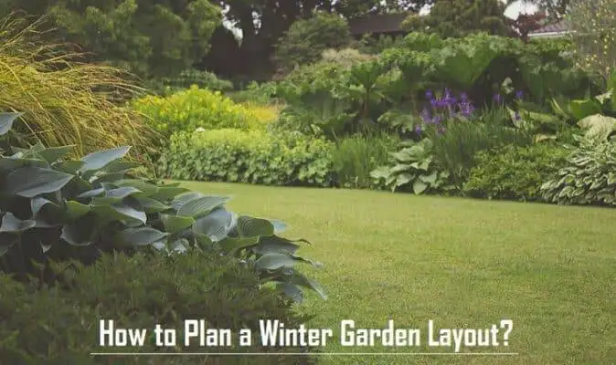 How to Plan a Winter Garden Layout