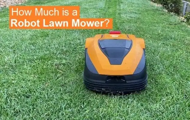 How Much is a Robot Lawn Mower