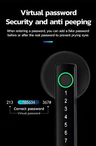 Virtual Password